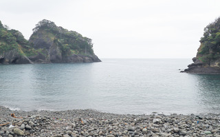 04-05kosame3-2.jpg