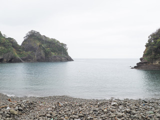04-05kosame3.jpg