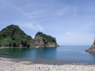 05-06harebeta1.jpg