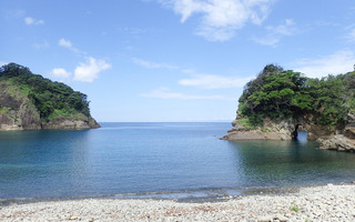06-07harebeta.4.jpg