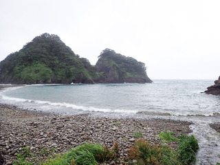 06ameooare2.jpg