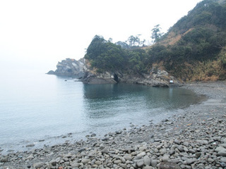 haru kosame.jpg