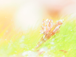 0104notoarimo aki.jpg