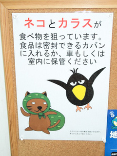 0129postar.jpg
