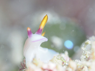 0208zougeiro taka.jpg