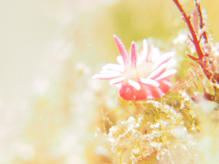 0222hiro aki-2.jpg
