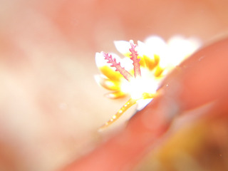 0227haregimino aki.jpg