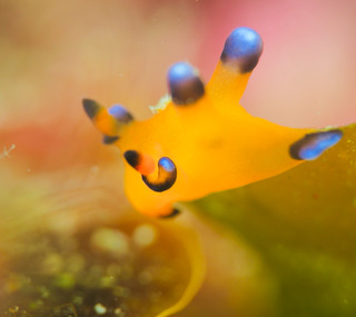 0316pika aki2.jpg