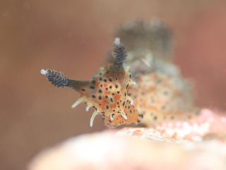 0325fujita fukunaga.jpg