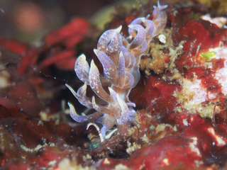 0328murotomino emi.jpg