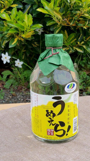 0331neta1 taka.jpg