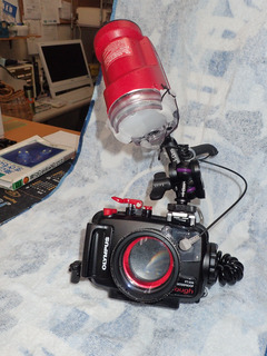 0410tg-4 taka.jpg