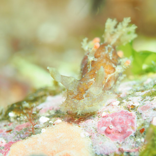 0420seironix taka3.jpg