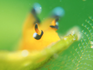 0421pika aki2.jpg