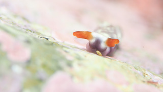 0509sueet.j taka2.jpg