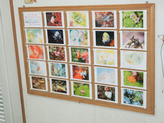 0609syasin1.jpg