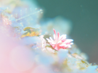 0727hiro aki.jpg