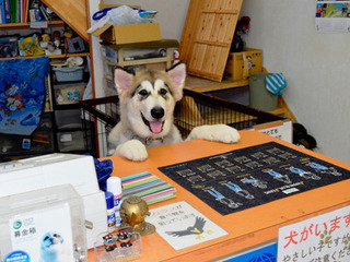 0908sisimaru.jpg