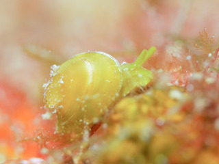 0914yuriyagai1 suwa1.jpg