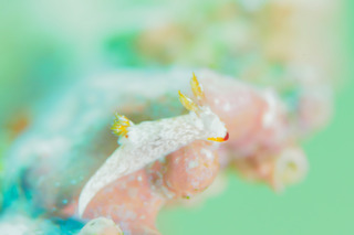 0927imamototsugaru aki1.jpg