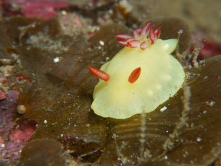 0928raboutoi nakamura.jpg