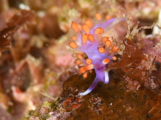 1203adeyakamino iida.jpg