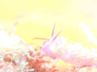 1226michiyomino aki.jpg