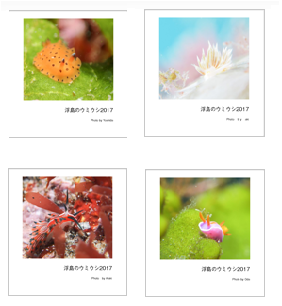 アルバム.png