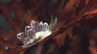 P1010029-2.jpg