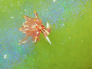 P5191361-3.jpg