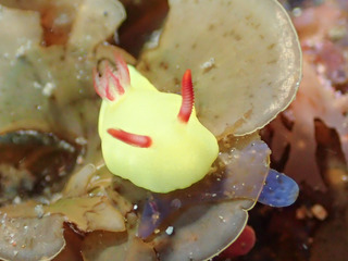 P5193200-2.jpg