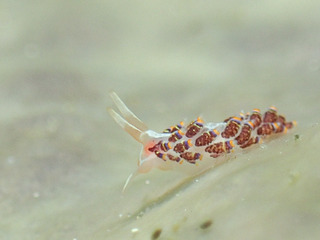 PB031914-2.jpg