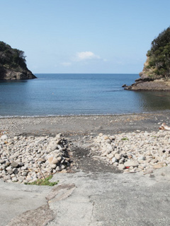 haru odayaka4.jpg
