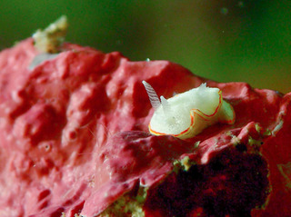 maririn-mitui-2.jpg